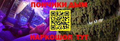 крисы Дубна