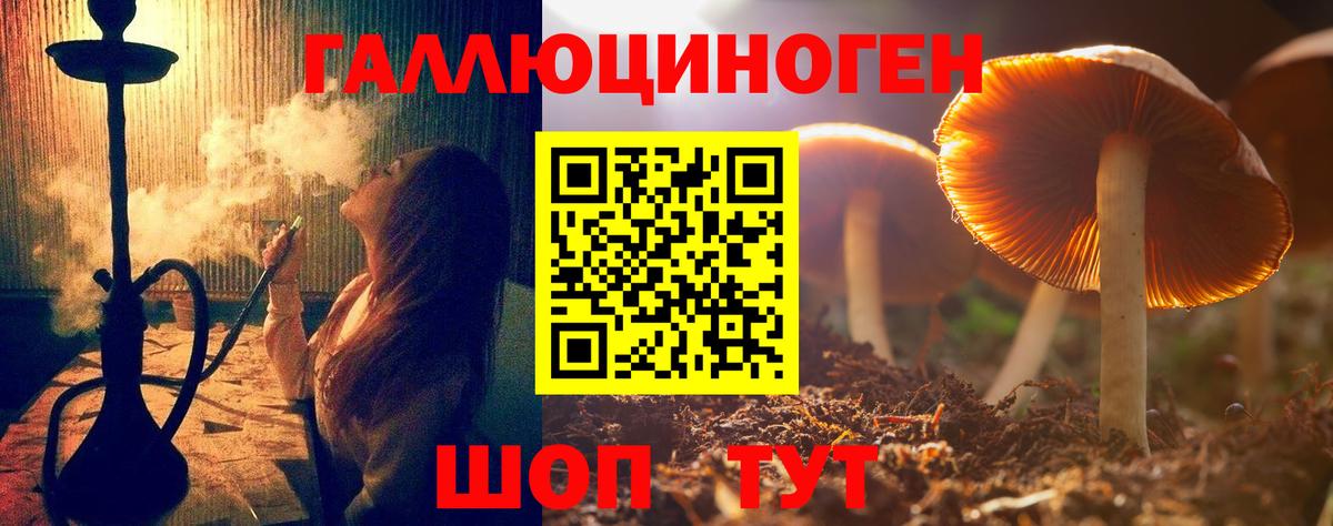 Галлюциногенные грибы мицелий Мелеуз